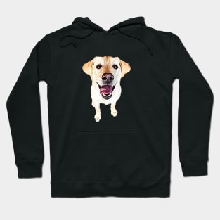 Labrador Retriever Golden Cuteness Hoodie